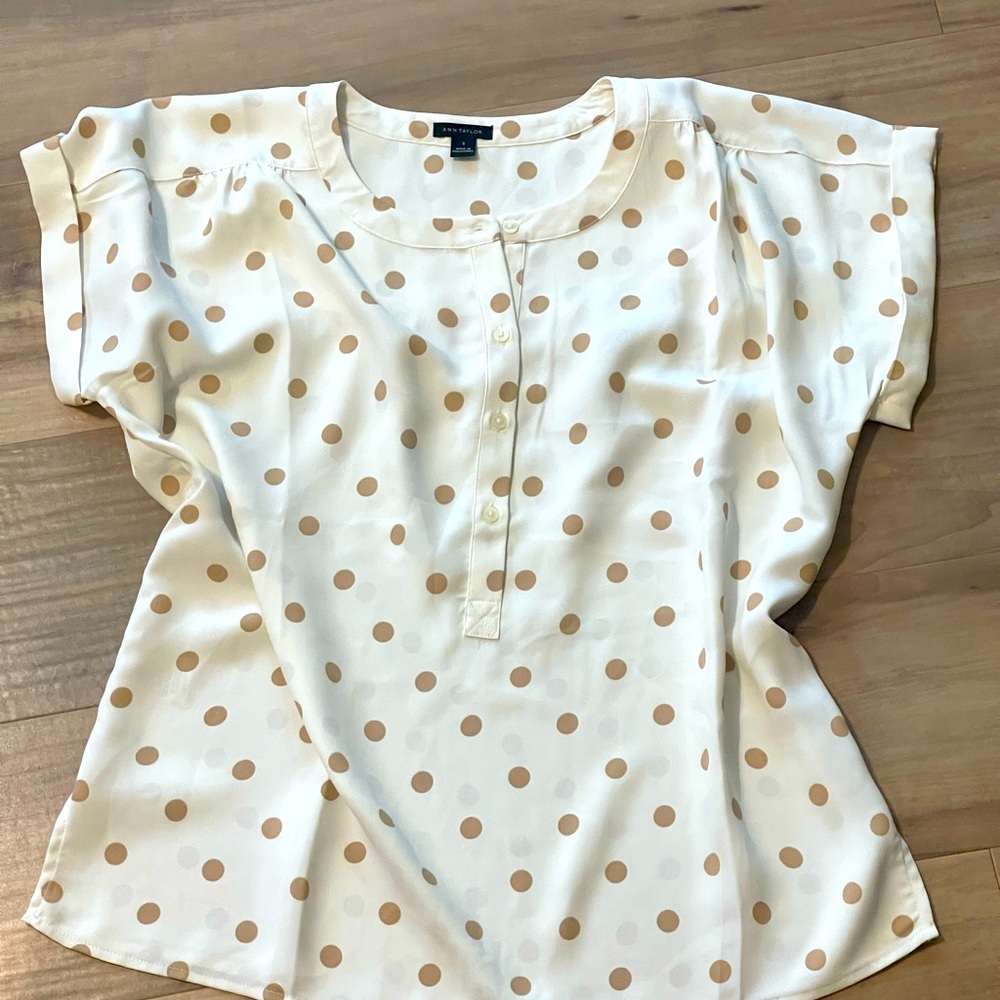 Ann Taylor small